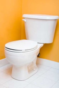 toilet with an orange wall behind it