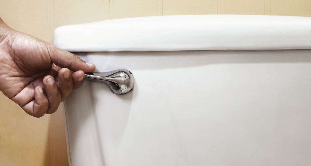 6 Common Reasons Why Your Toilet Won't Flush